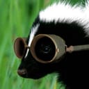 SkunkTech