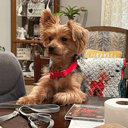 Pat’s Electronics Surplus