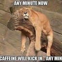 My Extra Parts that could be yours