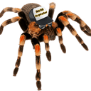 LA Tarantula's House of Stuff