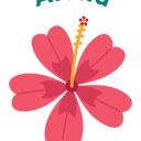 Aloha Computers🌺