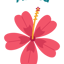 Aloha Computers🌺