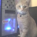 PC Apocalypse
