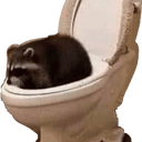 ShowerCat