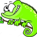 LizardEyes PC Gaming