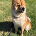 John’s Computer Sales