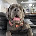 Evan_2942