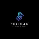 Pelican Gaming Tech