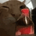 Buh