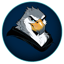 Birdface