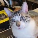 Larry's PC & Parts