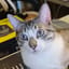 Larry's PC & Parts