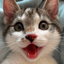 Avixrim