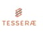 Tesseræ