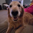 OneGoldenBoi