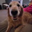 OneGoldenBoi