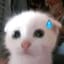 BqgelBuilds on TikTok !