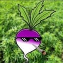 TurntTurnips PCs