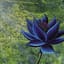 Black Lotus PC