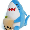 Koko's Systems & Customs