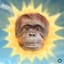 BIG MONKEY
