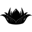 Black Lotus Repairs