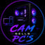 Cam Sells PCs