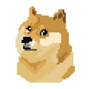 Doge Loppey