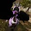 Blueb3rriezz VRC