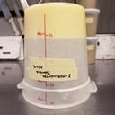 Experimental Banana Milk