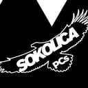 SOKOLICA PCS