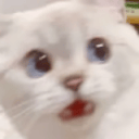 Nory's Left Over Bytes