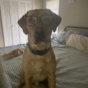 Cameron Price