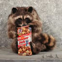 CrackerJackRaccoon