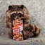 CrackerJackRaccoon