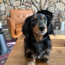Weenie Tech Builds