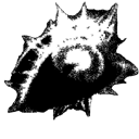 Wandering_Eye