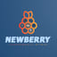 NEWBERRYTECH