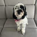 Reyes&SonPC-Jawa#0500