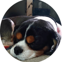 C4PIN—Computers 4 People in Need