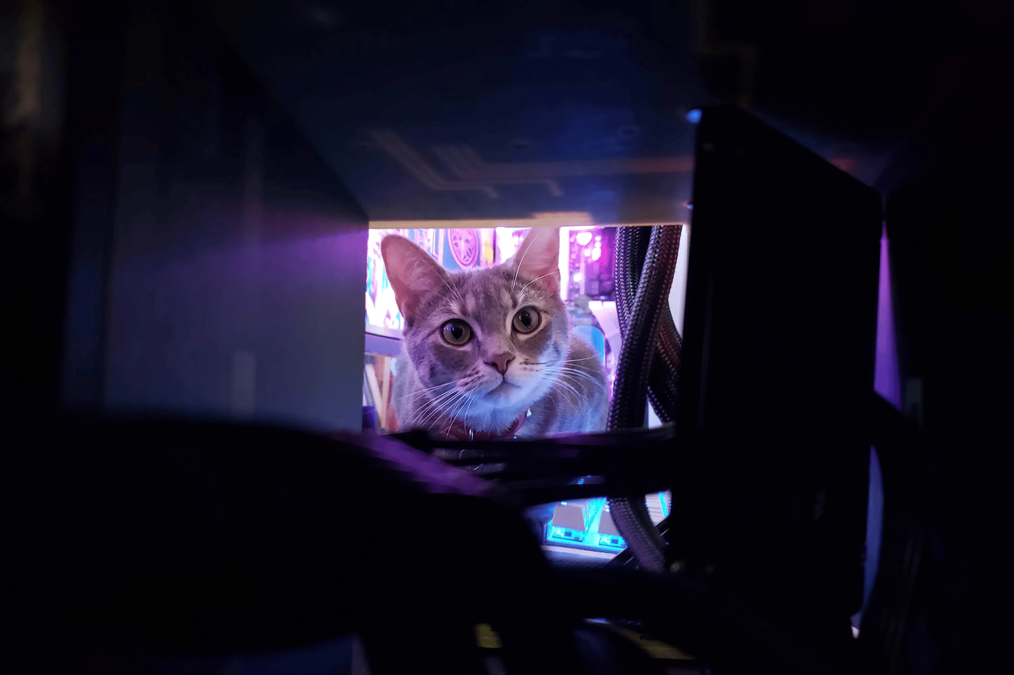 Nory's Left Over Bytes