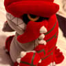 2004 Pokemon Groudon Plush Pokemon Center Plush Exclusive