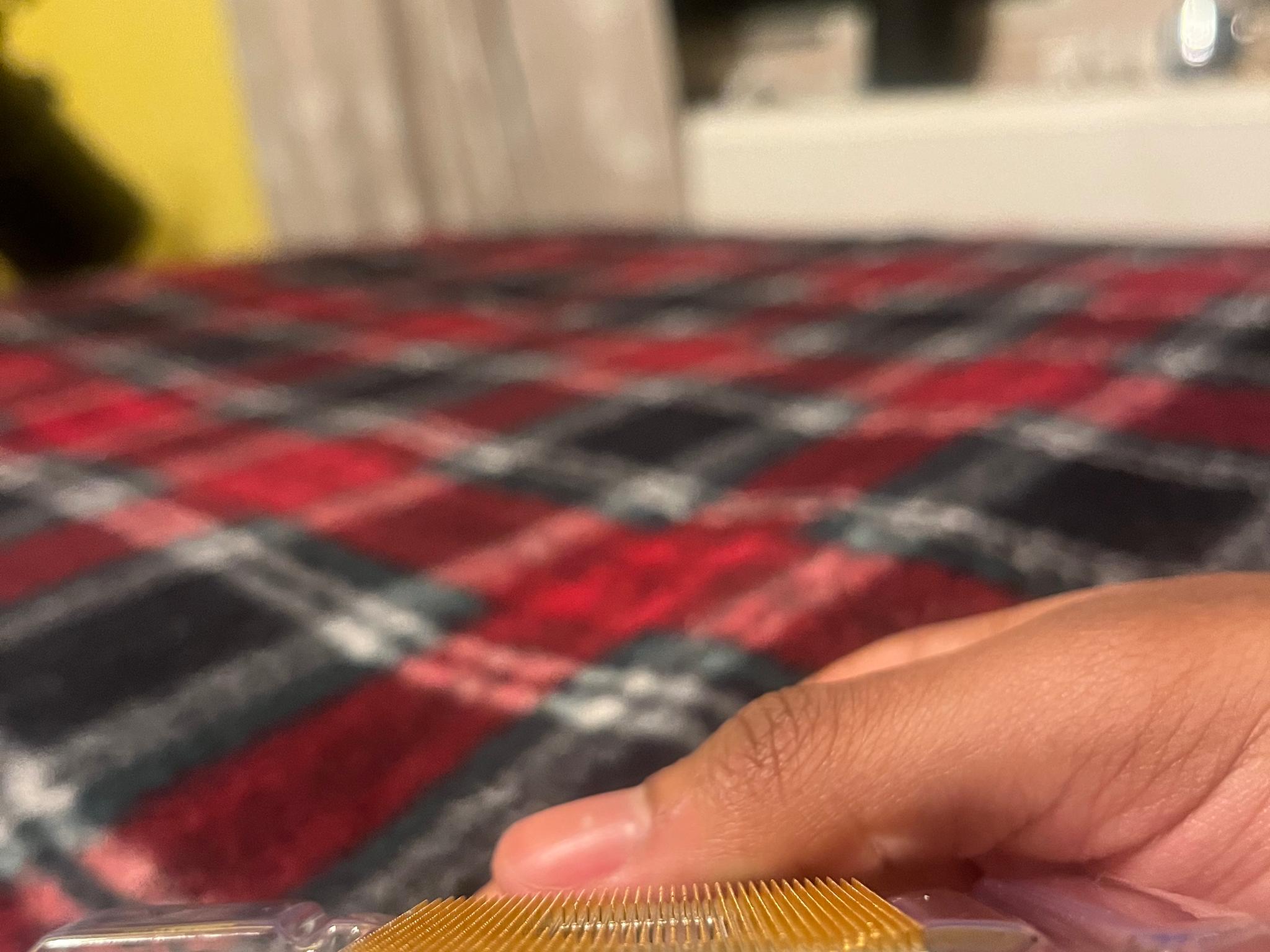 AMD Ryzen 5 5600