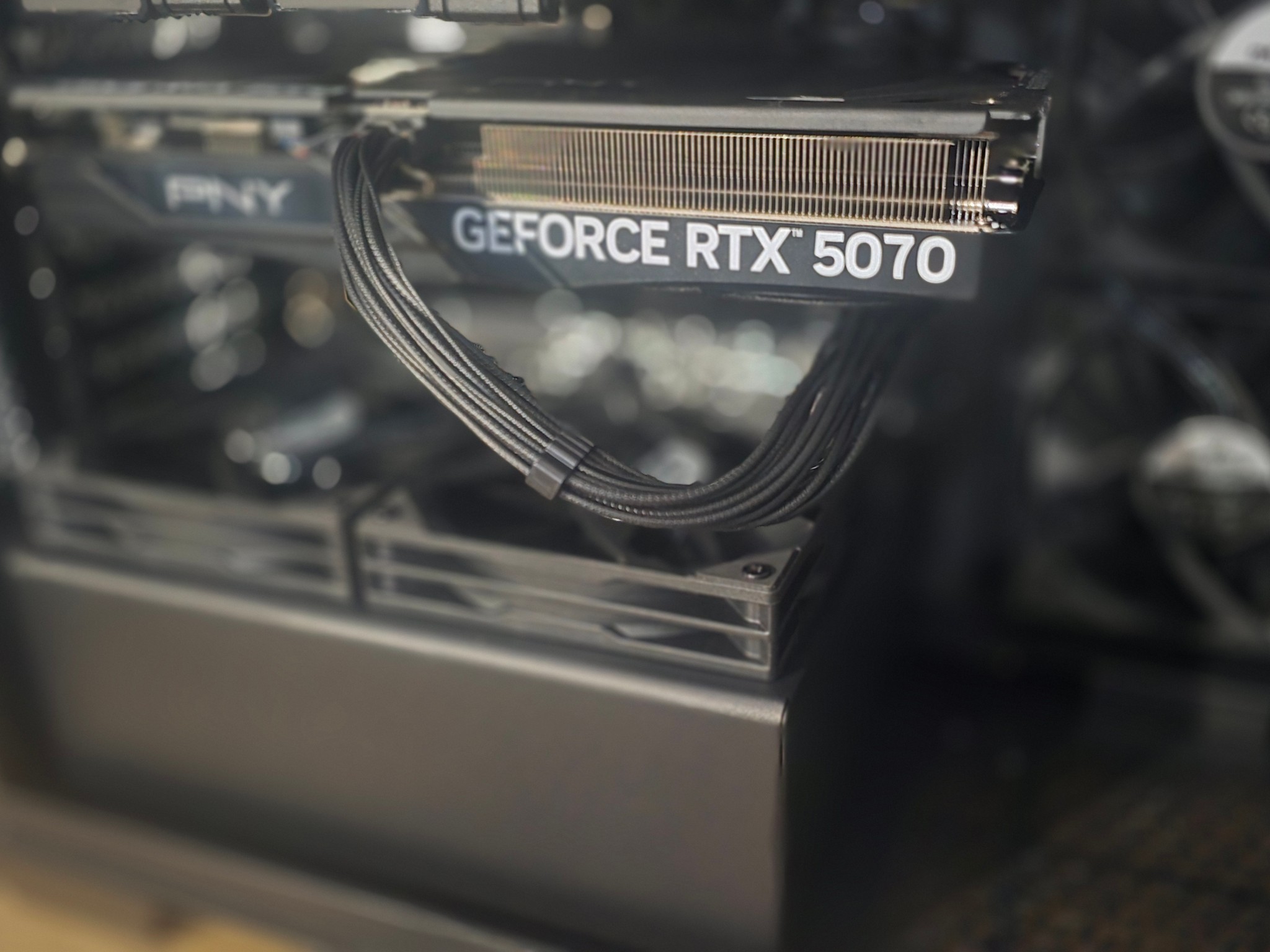 1440p Beast