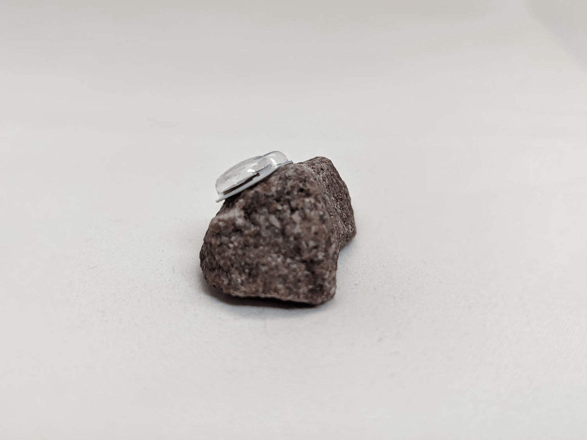 Bertrand the Pet Rock