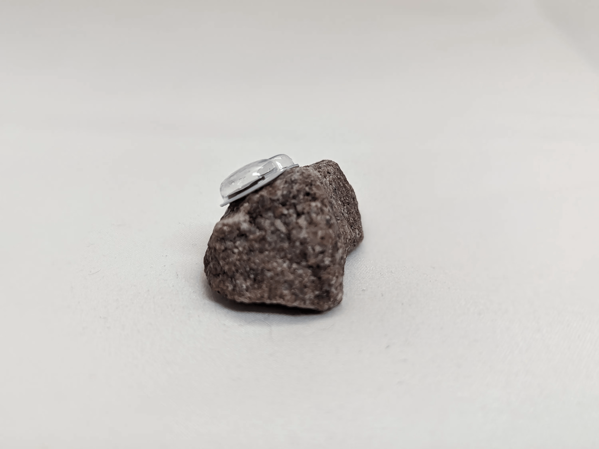 Bertrand the Pet Rock