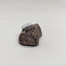 Bertrand the Pet Rock