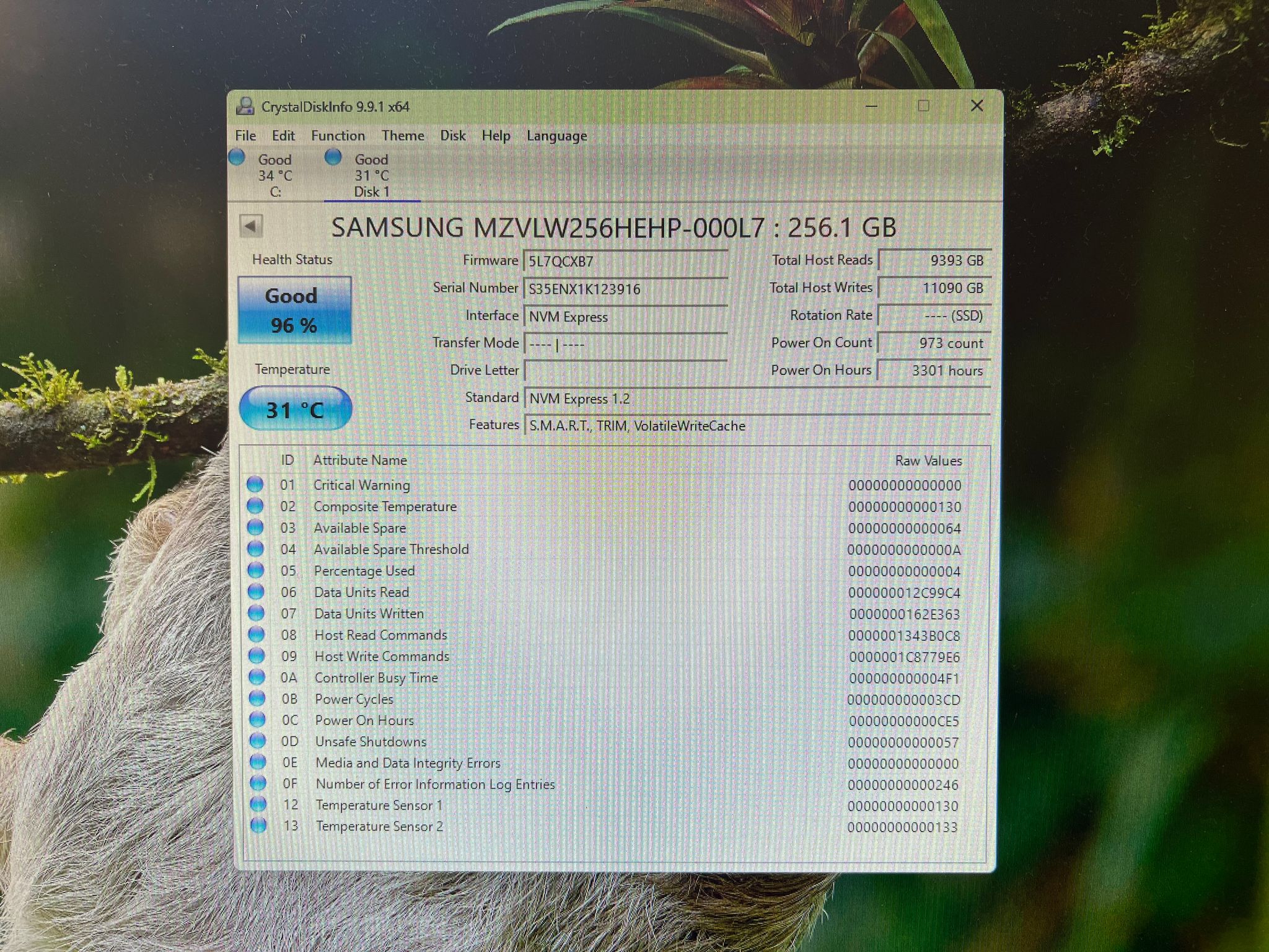 256GB Samsung 960 EVO OEM Version PCIe Gen 3.0x4.0 NVMe SSD - PM961