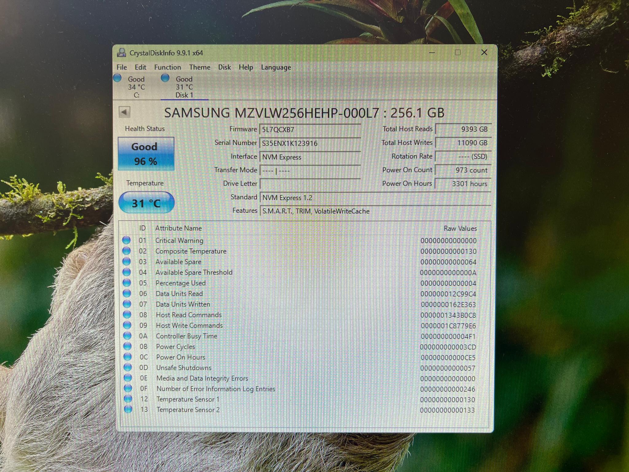 Samsung 960 Evo 256GB - Image 3