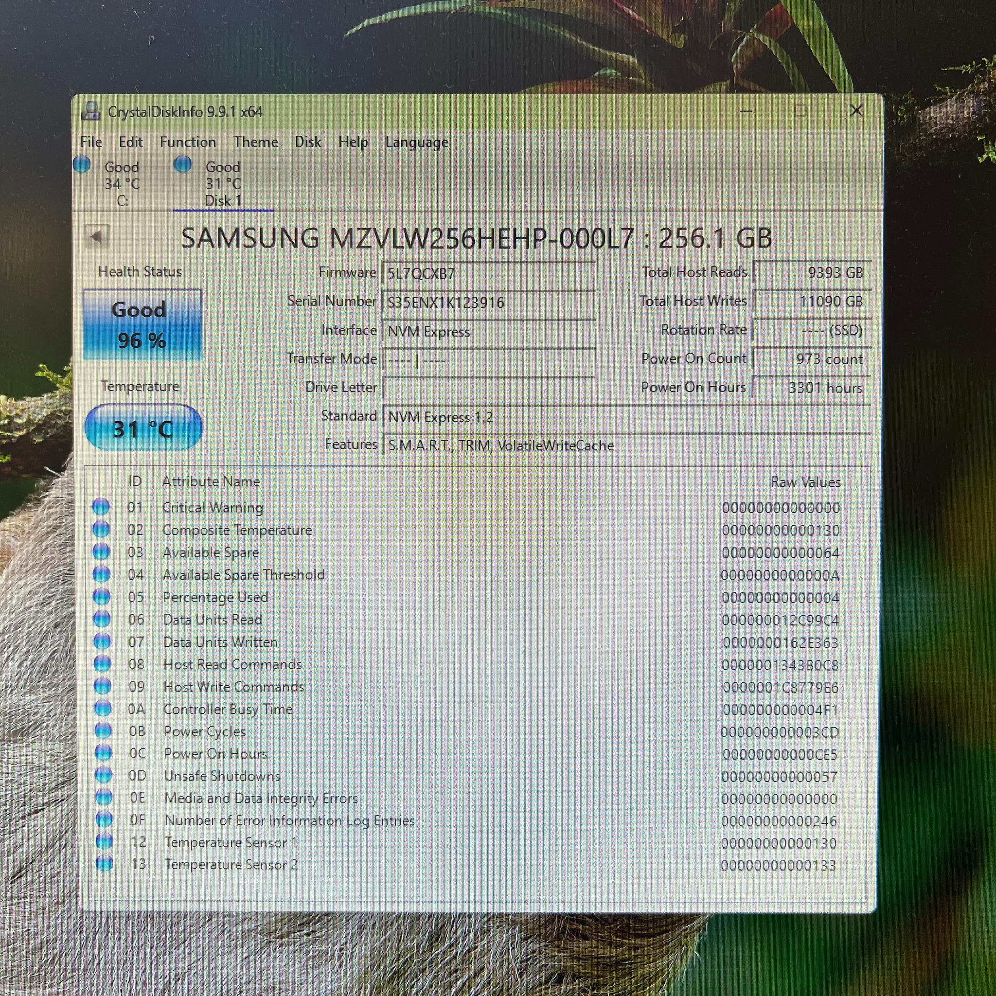 256GB Samsung 960 EVO OEM Version PCIe Gen 3.0x4.0 NVMe SSD - PM961
